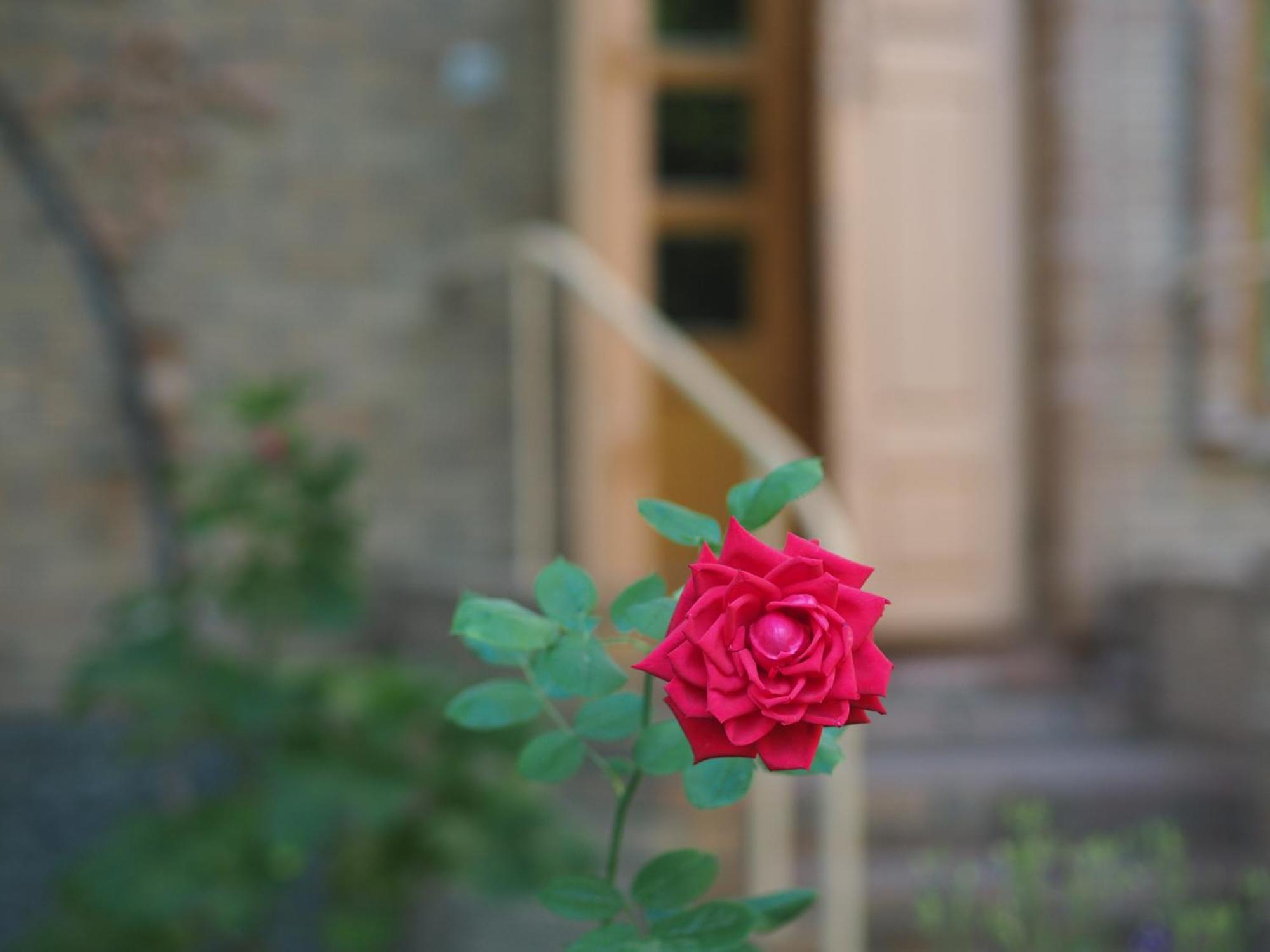 Antica Family Guest House Samarkand Exterior photo